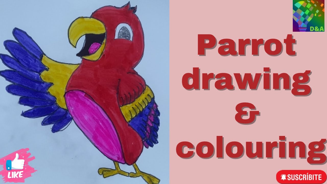 @ Parrot Drawing | Easy Parrot Drawing Step By Step - YouTube