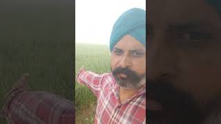 ਕੁਦਰਤੀ ਖ਼ੂਬਸੂਰਤੀ