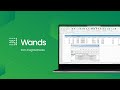 Wands for SAP: Escape the Limitations of Financial Reporting