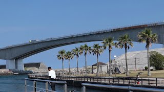 浜名湖 2024.6.14  新居弁天海釣公園、新居弁天海水浴場、白須賀海岸、遠江八景(浜名暮雪)