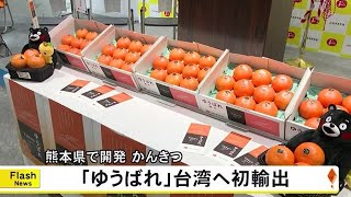 熊本県で開発されたかんきつ『ゆうばれ』が初めて台湾に輸出【熊本】 (25/01/18 18:00)