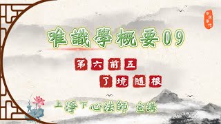 🌱 唯識學概要09《第六前五．了境隨根》 - 淨心法師