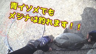 【鹿島港魚釣園】竿がのされる程の引き！結果は・・！？