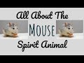 🌹🌙 THE MOUSE SPIRIT🌙🌹Mouse Spirit Animal Symbolism