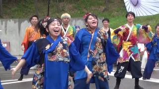 Mランドまつり2016　よさこい広場会場　総踊り（よっしゃ来い）