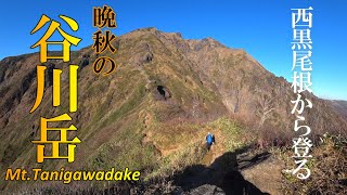 西黒尾根から晩秋の谷川岳を歩く　hiking on the Mt.Tanigawadake【谷川岳】【西黒尾根】