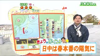 「高気圧に覆われてよく晴れるでしょう。各地で春本番の陽気になりそうです」宮城の30秒天気　tbc気象台　7日