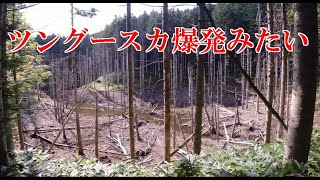 日高町の黒い池が半端なきことに