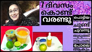 മഞ്ഞ്കാലത്ത് ചുണ്ട് വരണ്ടു പൊട്ടുന്നത് മാറി ചുവന്നു തുടുക്കാൻ/ Winter Lips Care/Saji'sHomecafe/