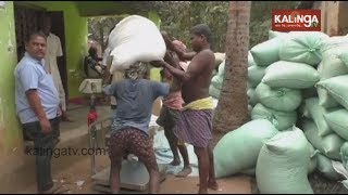 Cuttack: New paddy mandi brings happiness to Banki farmers | Kalinga TV