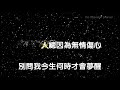 多情總為無情傷 特效karaoke 去人聲