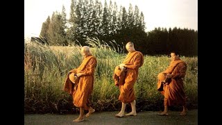 อย่าประมาท นอนใจ ในชีวิต ธรรมวัดป่า 🌿 นำจิตดี หลวงตามหาบัว ญาณสัมปันโน