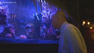 Let's Eat: An inside look at Grand Rapids' tiki bar