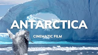 Antarctica: The Last Great Wilderness - Cinematic Short Film