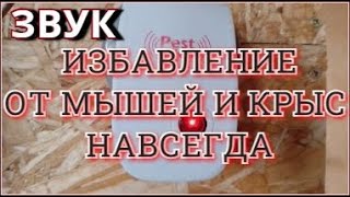 Ультразвук от мышей и крыс Полное избавление от мышей и крыс навсегда! Включать на 2-3 часа