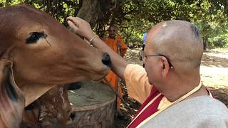 Glimpse of Nilachal Vedic Village, ISKCON Talasari