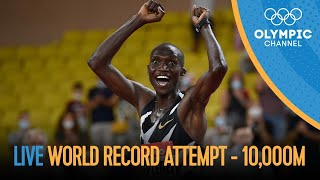 TWO new World records! Re-live Cheptegei's 10,000m 🇺🇬 \u0026 Letesenbet Gidey's 🇪🇹 5,000m records