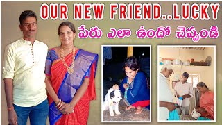 Our new friend లక్కీ పేరు ఎలా ఉంది// ఒక్కచోట తీసుకొని ఇంకోచోట అస్సలు అనుకోకుండా papam kadha