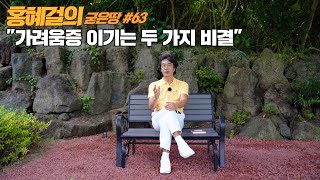 홍혜걸의 굳은땅 #63 \