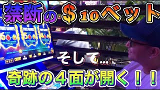 【カジノ】スロット1回の回転させるのに約１０００円‼️‼️‼️海外は一瞬でとりもどせるからやめられないし、２４時間営業‼️寝る暇なしw　Choys Kingdom！