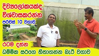 ගෙවත්ත සුරංගනා ලෝකයක් කල ගුරුපියාණන් Green House 0719775775 0716028824