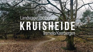 Lozenhoek // Kruisheide // Landscape Photography in Belgium, a Cinematic View