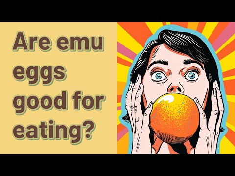 Are emu eggs good for you?