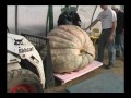 bill s big pumpkins a giant pumpkin documentary