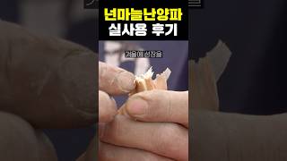 겨울 마늘 성장에는 넌마늘난양파!