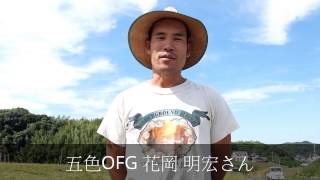 【宅配農場精米人】兵庫県淡路島洲本市　五色OFG（オーガニックファーマー）編