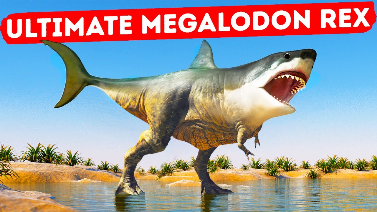 Megalodon Shark Vs T Rex Megalodon Shark Vs T Rex