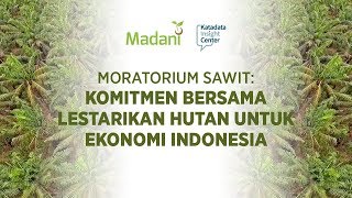 MORATORIUM SAWIT: KOMITMEN BERSAMA LESTARIKAN HUTAN UNTUK EKONOMI INDONESIA| Katadata Indonesia