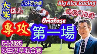 香港賽馬 專攻第一場 5-1-2025 沙田泥草混合日賽 (全場分析拆局，是次策略 : WP冷胆一拖二或鐵三角)