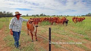 ‘Silverdale’, Biloela District, Qld