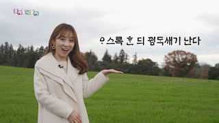 [우리말나들이/제주도 특집] 꿩과 관련된 제주 속담!