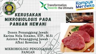 Praktikum Kerusakan Mikrobiologis Pada Pangan Hewani: Kerusakan Daging (Pas 1) ITP FP USU 03/11/2021