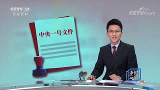 《中国三农报道》 20210221|CCTV农业