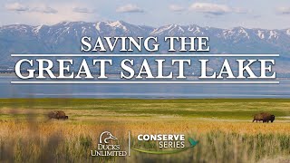 Saving the Great Salt Lake | DU Conserve