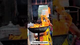 #thiruvannamalai #annamalaiyartemple  #haraharamahadev #shivangijoshi #omnamashivaya #shorts