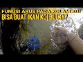 FUNGSI ARUS KOLAM KOI YANG DILUPAKAN