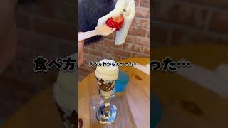 赤塚製氷【天童市】どうやって食べる？苺大福ソフトクリーム！