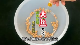 专攻大鱼的秘制鱼饵，学会自制它钓大鱼不再困难