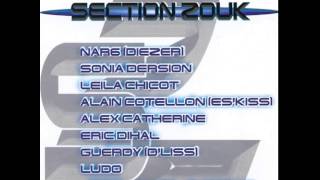 Alex Catherine / Jocelyn Deloumeaux - Section zouk