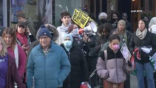 Palestine Protest Black Friday / Manhattan, NYC 11.24.23