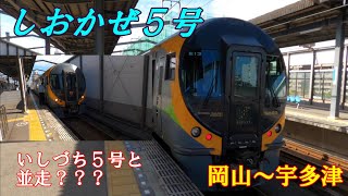 特急しおかぜ5号（8600系）に乗ってこんぴらさんへ！えっ！宇多津駅でいしづち5号と並走？？？