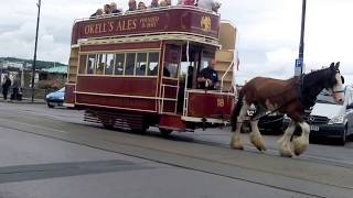 IOM Transport Festival: Horse Tram Cavalcade 18 Double Decker and 44 Roofed Toastrack