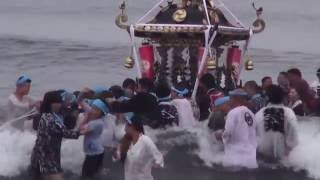 平成28年　浜降祭　堤八坂神社　本社神輿海中渡御　禊です。