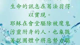 與主嘆啡 - 常年期第二十二周星期 二 - 2024 年 9 月 3 日 - 聖額我略教宗(聖師)紀念 - 「這是怎麼一回事？」