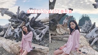 Weekly Vlog 13 | 跟家人的房车之旅(下)🚌 暮光之城取景地 | 半夜去看荧光海滩！美到窒息的奥林匹克国家公园❤️