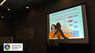 Modeling Soil Phosphorus